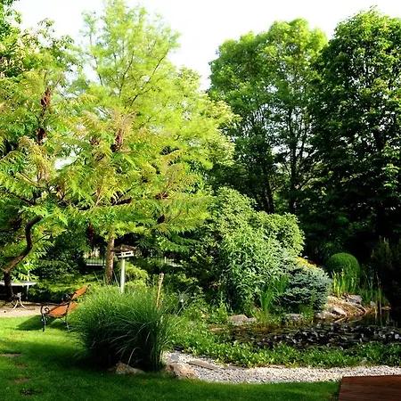 Medici & Restaurant Veszprem