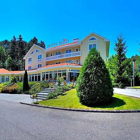 Medici & Restaurant 4*