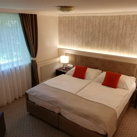 Medici & Restaurant 4*