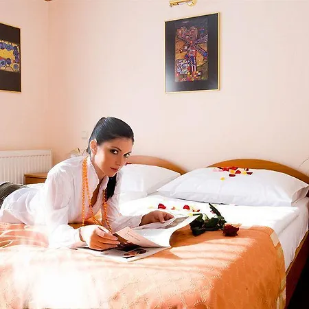 Medici & Restaurant 4* Veszprem
