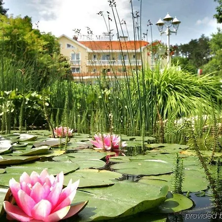 Medici & Restaurant Отель