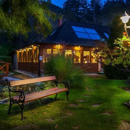 Medici & Restaurant Veszprem