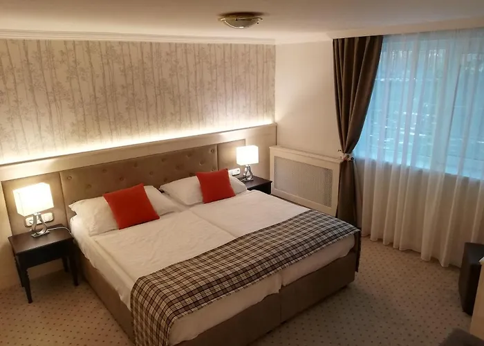 Medici Hotel&restaurant Hotel 4*