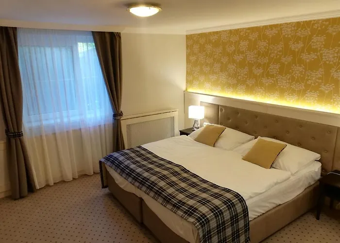 Medici Hotel&restaurant Veszprém