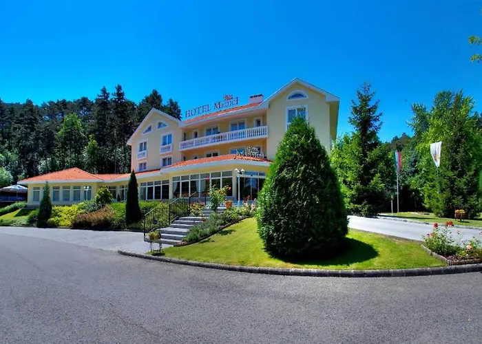 Medici Hotel&restaurant Hotel